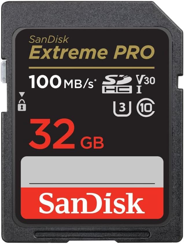 Scheda SD 32GB v30